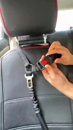 Reflective Pet Dog Car Seat Belt Puppy Collar Walking Travel Car Accessories Cat Leash Harness for Small Dogs Pet Car Supplies