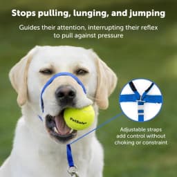 Zhenjia Hot Selling New No-pull Dog collar Adjustable Anti-barking Biting Mouth Cover Dog Mouth Collar Mouth Mask