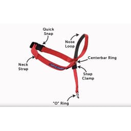 Zhenjia Hot Selling New No-pull Dog collar Adjustable Anti-barking Biting Mouth Cover Dog Mouth Collar Mouth Mask