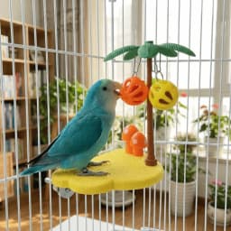 Coconut-shaped Bird Perch Stand Detachable Funny Parrot Play Stands Cartoon Wear Resistant Birdcage Platform