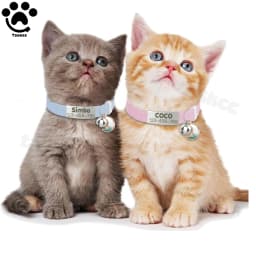 Personalized Elastic Cat Collar with Bell Moon & Safety Buckle Customized Name tag Puppy Kitten Necklace Free Engraved