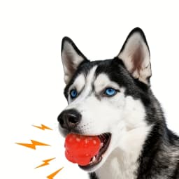Funny Rubber Dog Ball Toy Play Squeak Toy Sound Chew Treat Holder Puppy Training Molar Toys Interactive Pet Supplies