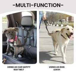Solid Color Two-in-one Pet Car Seat Belt Nylon Lead Leash Backseat Safety Belt Adjustable Dogs Harness Collar Pet Accessories