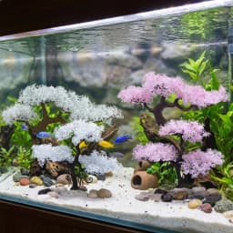 Realistic Aquarium Cherry Blossom Underwater Scene Simulation Cherry Blossom Tree Natural Look Plastic Landscape Tree