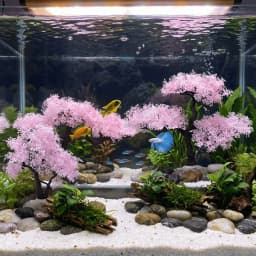 Realistic Aquarium Cherry Blossom Underwater Scene Simulation Cherry Blossom Tree Natural Look Plastic Landscape Tree