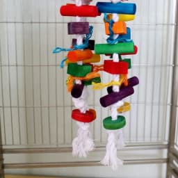 Colorful Wooden Parrot Chew Toys, Interactive Bite Bird Toys with Various Shapes for Large Parrots Pet Supplies