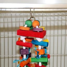 Colorful Wooden Parrot Chew Toys, Interactive Bite Bird Toys with Various Shapes for Large Parrots Pet Supplies