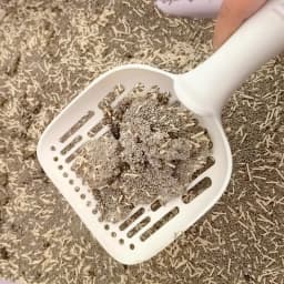 Pet Cat Litter Shovel, Grid Cat Urine Litter Shovel, Pet Cleaning Supplies, Toilet Bowl, Long-handled Cat Litter Shovel