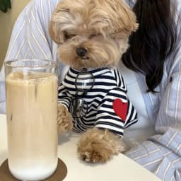 2026 Black Striped Pattern Love Dog Clothes Summer Teddy Vest Bichon Casual T-shirt Fashionable Puppy Base Shirt