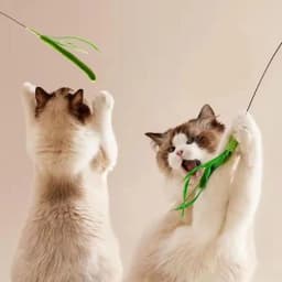 Kimpets Cat Dog Tail Grass Dog Sage Feather Long Pole Cat Teasing Stick Bite Resistant Self Soothing Tool Cat Toy Pet Supplies