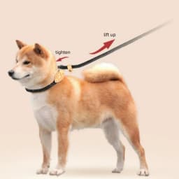 Heavy Duty Dog Leash Slip Rope Lead Adjustable Braided Loop Collar Training Leash for Small to Medium Dogs