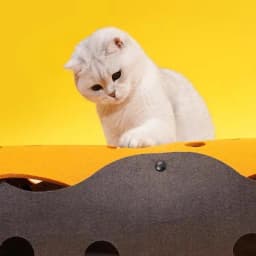 Splicing Cat Toy Felt Pom Nest Deformable Kitten Tunnel Collapsible Tube House Tunnel Interactive Pet Pusscat Security Sense