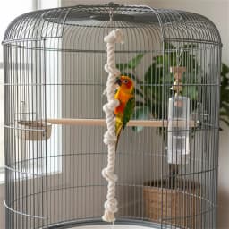 Parrot Chew Toy Cotton Rope Climbing Ladder Bird Activity Perch Natural Bite Safe Climber for Small to Medium Birds