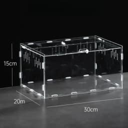 New Acrylic Reptile Habitat Anti-Escape Clear Spider Feeding Case Multiple Size Arboreal Small Pet Cage for Chameleon Clear