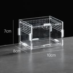 New Acrylic Reptile Habitat Anti-Escape Clear Spider Feeding Case Multiple Size Arboreal Small Pet Cage for Chameleon Clear