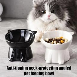Elevated Slanted Anti Tip Cat Bowl Neck Protection Dual Purpose Pet Food Water Feeder Large Capacity Pet Supplies