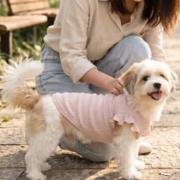 Cute Waffle Ruffle Sleeve Pet T-shirt Round Neck Breathable Dog Clothes Sweet Fashion Dog Apparel For Small Dogs Multiple Colors
