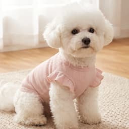 Cute Waffle Ruffle Sleeve Pet T-shirt Round Neck Breathable Dog Clothes Sweet Fashion Dog Apparel For Small Dogs Multiple Colors