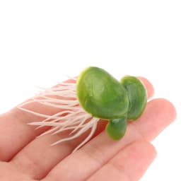 Aquarium Fish Tank Garden Water Decor 18pcs/Set Artificial Floating Duckweed with Roots