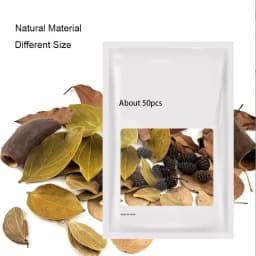 About 50pcs Natural Leaf Aquarium Filter Terminalia Catappa Foetida Leaves Island Almond Leaf Fish Cleaning Treatment