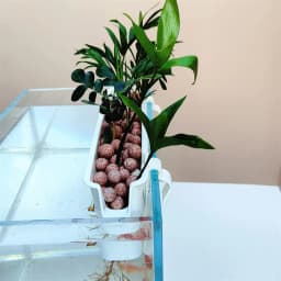 1 Pc Aquarium Hydroponic Planters Wall-Mounted Easy Install Fish Tank Decor with Hanging Basket for Greenery & Aesthetic Display