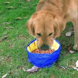 Big Volume Dog Drinking Container Foldable Dog Water Bowl Food Storage Bag Outdoor Hiking Travel Folding Pet Bowl 1100ML