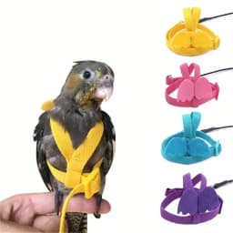 Parrot Training Harness Leash Set Anti-Bite Outdoor Flying Rope For Cockatiels Small Birds Supplies