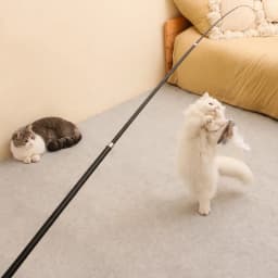 Extended Telescopic Cat Stick Cat Toys 1.8m Scratch Resistant Pet Accessories Telescopic Fishing Rod with Feather for Active Cat