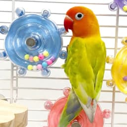 Interactive Parrot Toy Bird Cage Toy for Parrots Rotating Treat Dispenser, for Mental Stimulation and Entertainment