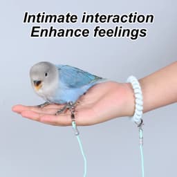 1PC Parrot Release Rope Bird Leash Ultra Light Not Harmful To Feet Pet Bird Parrot Flight Release Rope Bird Strap (No Foot Ring)