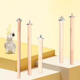Natural Wood Pet Parrot Raw Wood Fork Tree Branch Stand Rack Squirrel Bird Hamster Branch Perches Chew Bite Toys Stick