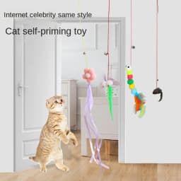 Cat Elastic Rope Hanging Door Teaser Cat Stick Pet Swing Cat Toy Hanging Cat Toy