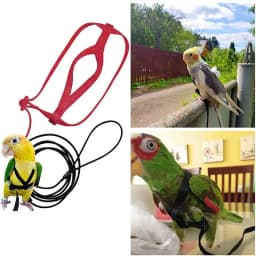 Parrot Bird Harness Leash Outdoor Activities Flying Traction Straps Band Flying Rope For Small Parakeets Cockatiels Bird NEW