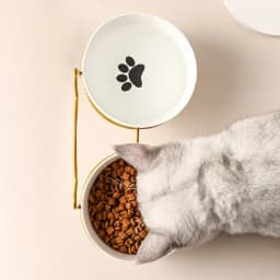 Ceramic Cat Bowl Cat Food Bowl Dog Bowl Drinking Water Bowl Food Bowl Cervical Protection Pet Supplies Ceramic Double Cat Bowl