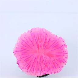 1 Piece Aquarium Decoration Saw Coral, Mini Fluorescent Coral, Fish Tank Landscaping