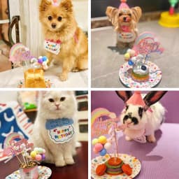 Cute Dog Cat Clothes Birthday Bib Party Hat Bandana Set Puppy Cat Adjustable Drool Scarf Pets Birthday Costume Supplies