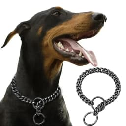 Golden Stainless Steel Dog Necklace P Chain Titanium Steel Dog Collar for All Stage Dog Breeds for Pet Training