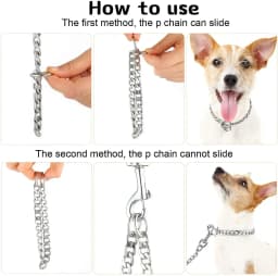 Golden Stainless Steel Dog Necklace P Chain Titanium Steel Dog Collar for All Stage Dog Breeds for Pet Training