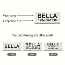 Personalized Cat Collar with Bell Buckle Customized Nametag Puppy Kitten Necklace Free Engraved Name ID Tag Nameplate