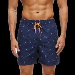 Men's Simple Vertical Striped 3D Print Summer Outdoor Beach Shorts Swim Trunks Breathable Quick-Drying Casual Sports Pants