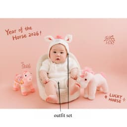 Newborn Photography Props 2026 Pink Horse Year Theme Set Blanket Outfit Set Horses Doll Decors for Studio Photoshoot Clothing