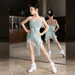 Latin Dance Tassel Dress Irregular Mesh Dance Outfit Professional Practice Costume Stage Performance Attire Daily Training Wear
