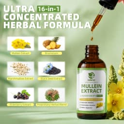 Lukaree 5 IN 1 Mullein Drop with Elderberry & Bromelain Lung Cleanse &Detox for Smokers,Mucus Relief & Respiratory Support Alcohol-Free Antioxidant Support