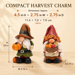 Hodao Resin Fall Gnome Figurine Set, 2-Piece Thanksgiving Gnome Figure Model with Pumpkin, Harvest Basket, Autumn Leaves and White Beard, Collectible Tabletop Shelf Sitter Decor for Fireplace Mantel Tiered Tray Home Display, Rustic Farmhouse Holiday Gift