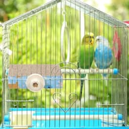 Bird Chew Toy for Parrot Cage Perch: Cardboard Platform Exercise Toy in Natural Brown, Eco-Friendly Beak-Safe