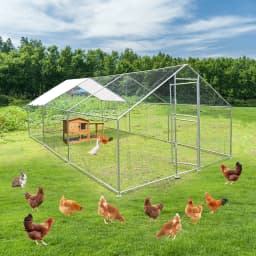 Heavy-Duty Large Metal Chicken Coop Run 6M X 3M 20ft X 10ft Sturdy Metal Frame Outdoor Backyard Garden Farm Poultry Pen for Hens Ducks Rabbits