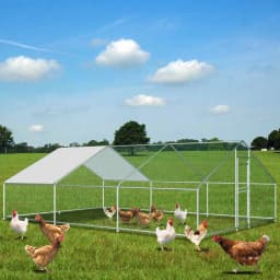 Heavy-Duty Large Metal Chicken Coop Run 6M X 3M 20ft X 10ft Sturdy Metal Frame Outdoor Backyard Garden Farm Poultry Pen for Hens Ducks Rabbits