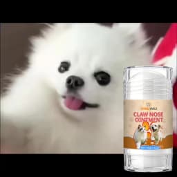 Pet Paw Protector Dog Nose Balm Healing Salve for Cracked Dry Paws Soothing Moisturizer Lick Safe Cat Foot Cream Winter Paw Care Grooming Supplies