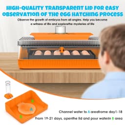 25 Egg Incubator for Hatching Eggs,Automatic Egg Turning and Humidity Control, with Automatic Water Serving,360° View Poultry Incubator for Hatching Chicken Duck Quail Parrot