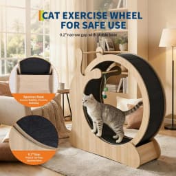 6 in 1 Cat Treadmill Running Wheel for Indoor Large Pet Supplies Anti Pinch Foot Exercise Fitness Roller Cat Climbing Frame Dog Toy